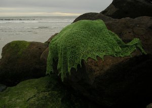 Pattern Shawl